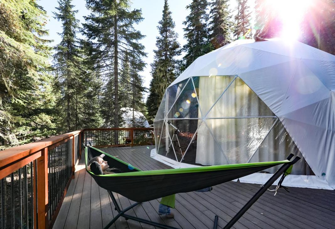 Clear Sky Resorts Glacier - Luxury Sky Domes Pinnacle Exterior foto